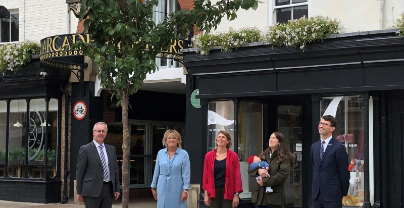 Trees planted on Northallerton High Street - Hambleton Today