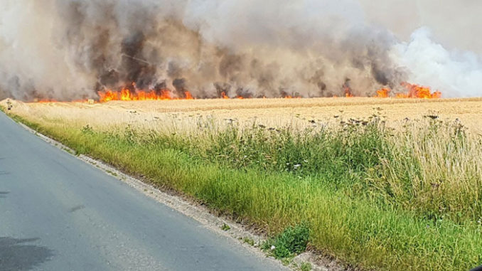 Fire near Ripon last year. Photo: N Yorks Fire and Rescue Service